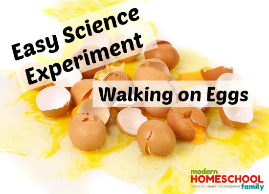 How to Walk on Eggs