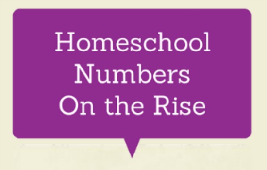 Number of Homeschooled Children on the Rise