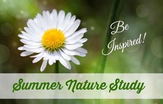 A Summer Nature Study
