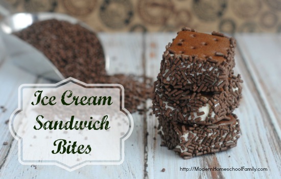 Ice Cream Sandwich Bites