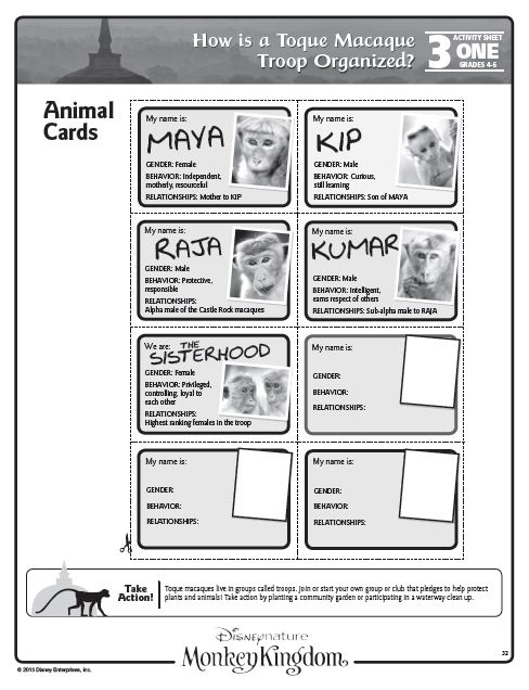 monkey kingdom activity sheets 8