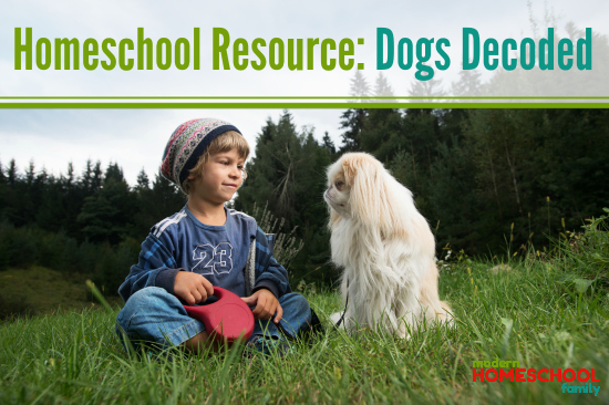 Homeschool Lesson Plan Idea: Dogs Decoded