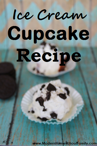 Ice Cream Cupcake Recipe