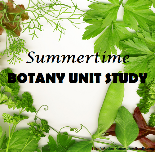 Summertime Botany Unit Study