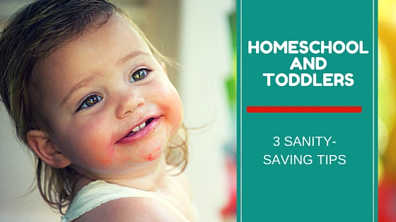 3 Sanity-Saving Strategies for Homeschooling With Toddlers