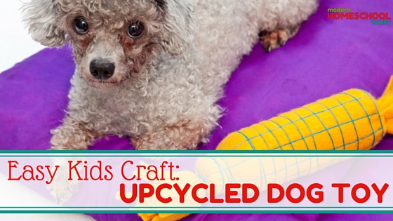 Easy Kids Craft: Upcycled Dog Toy