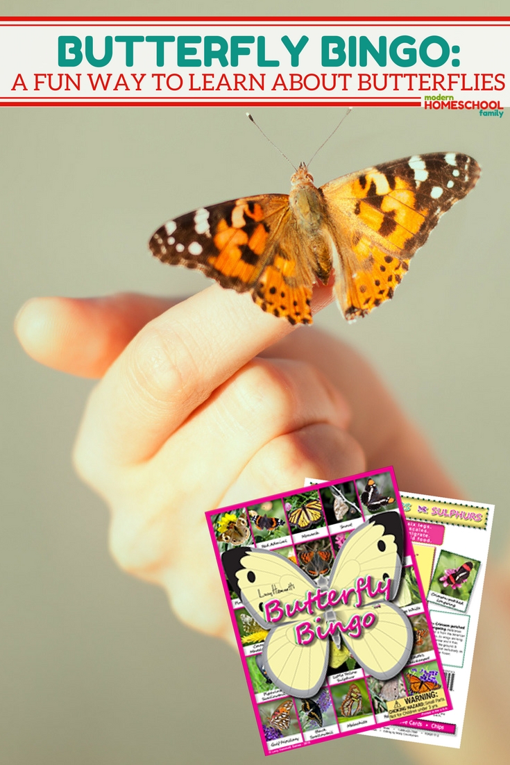 fun way to learn about butterflies