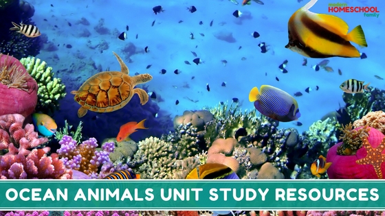 Ocean Animals Unit Study Resources