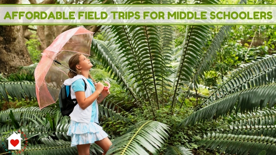 5 Affordable Homeschool Field Trip Ideas for Middle Schoolers